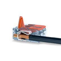 Kb Hab32024